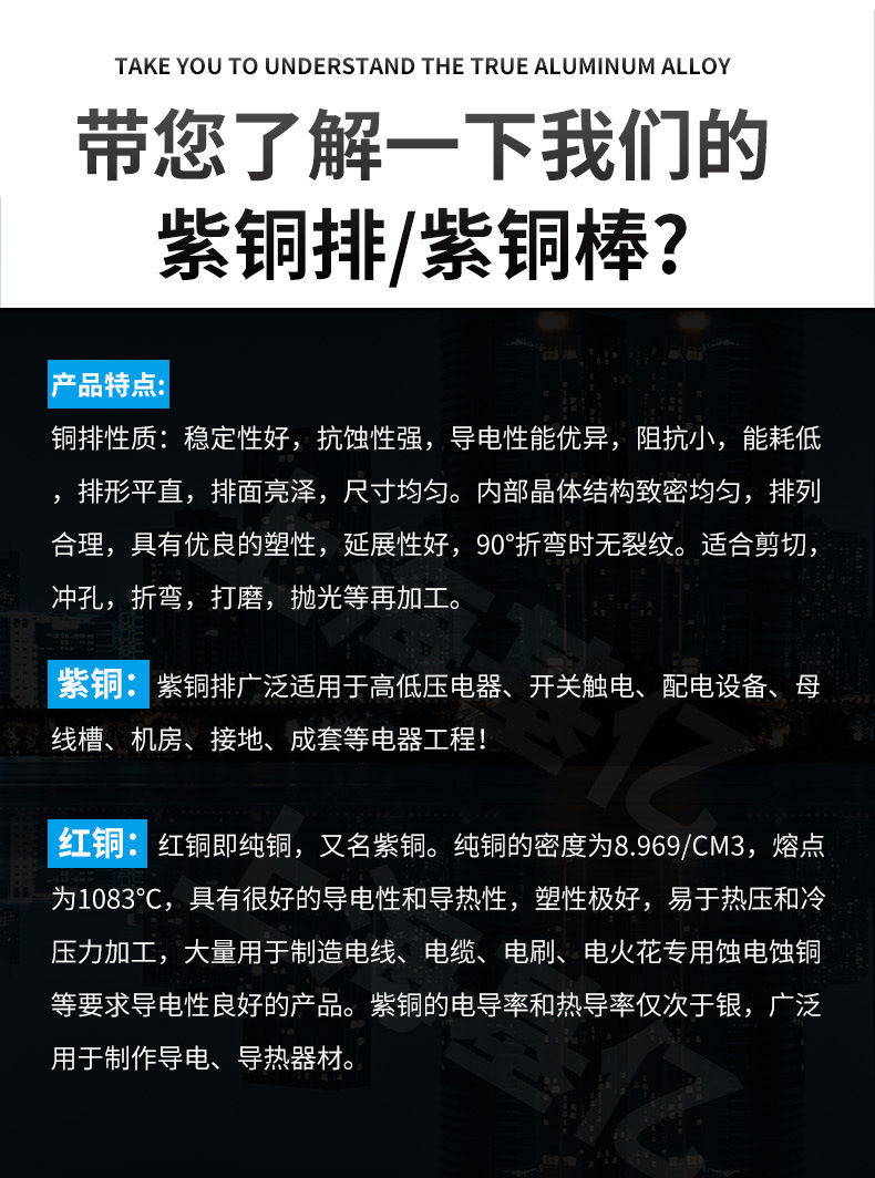 紫铜排